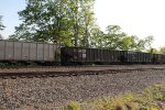 NS 10039